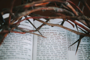 crown of thorns with bible