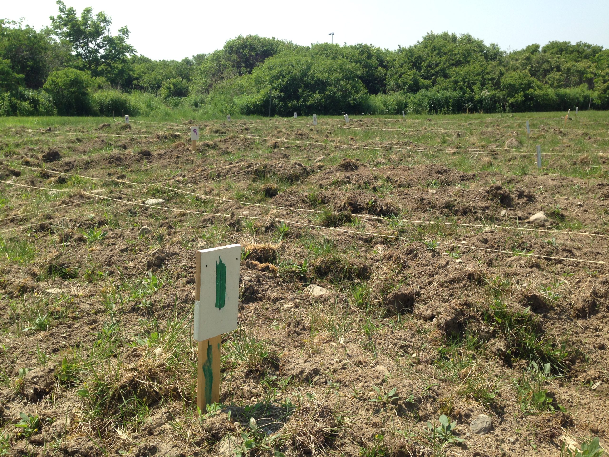 Community Garden plots still available!