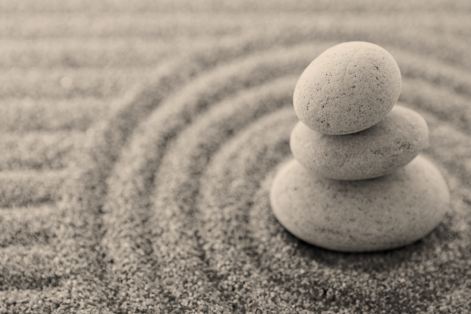 Gentle Yoga & Guided Meditation on Tuesdays